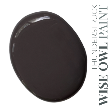 Wise Owl Chalk Synthesis Paint - Thunderstruck